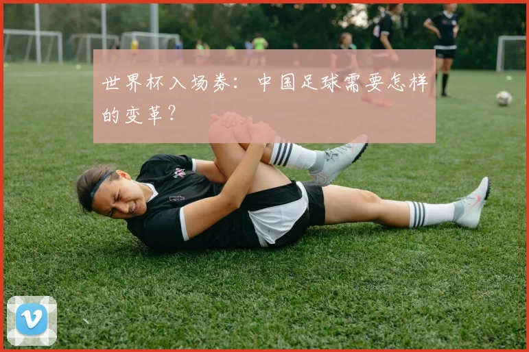 世界杯入场券:中国足球需要怎样的变革?