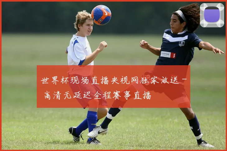 世界杯现场直播央视网独家放送 - 高清无延迟全程赛事直播