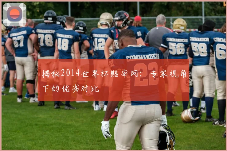 揭秘2014世界杯赔率网：专家视角下的优劣对比
