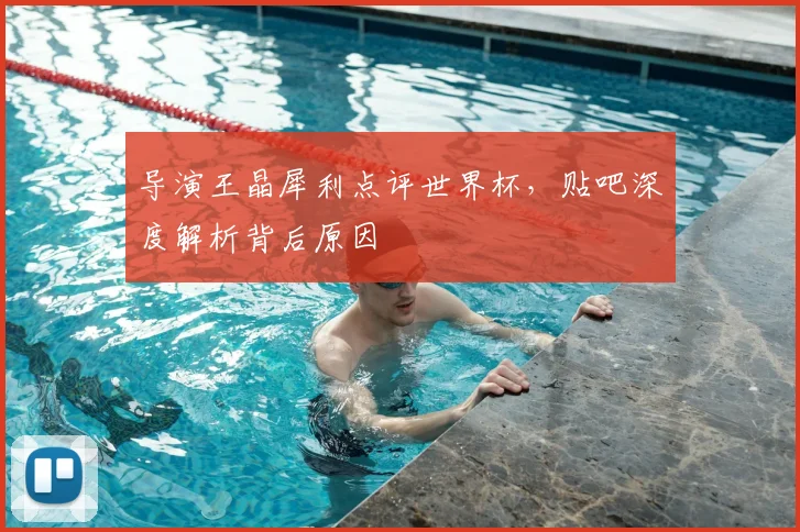 导演王晶犀利点评世界杯，贴吧深度解析背后原因