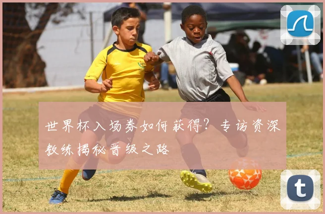 世界杯入场券如何获得?专访资深教练揭秘晋级之路
