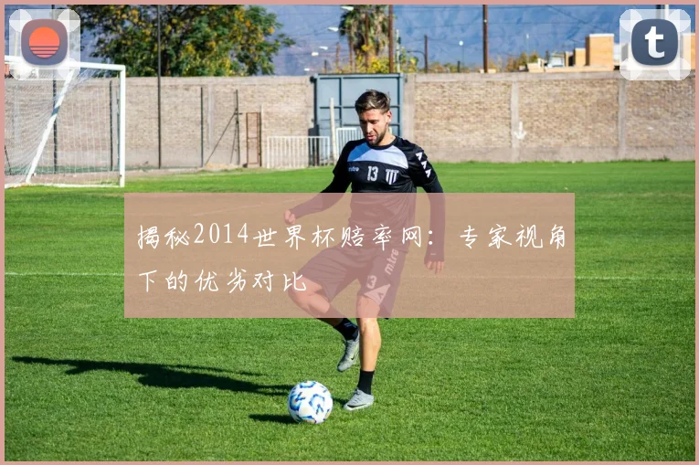 揭秘2014世界杯赔率网：专家视角下的优劣对比