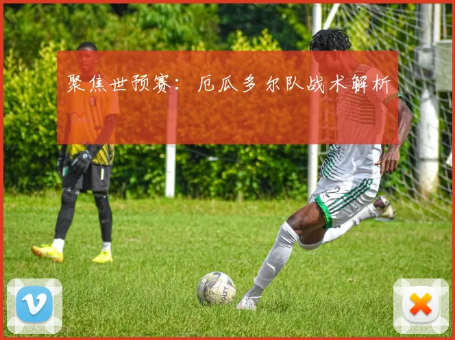 聚焦世预赛：厄瓜多尔队战术解析