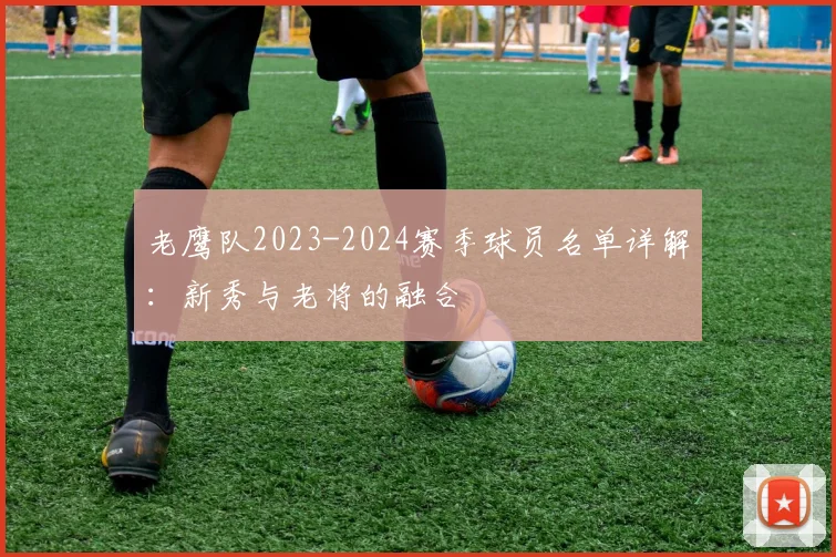 老鹰队2023-2024赛季球员名单详解：新秀与老将的融合