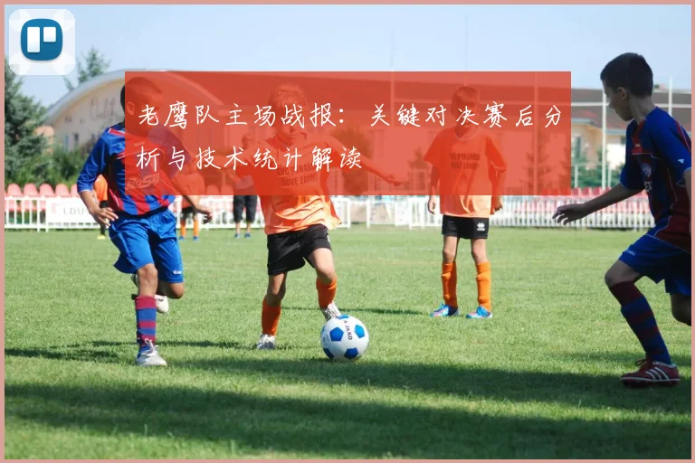 老鹰队主场战报:关键对决赛后分析与技术统计解读