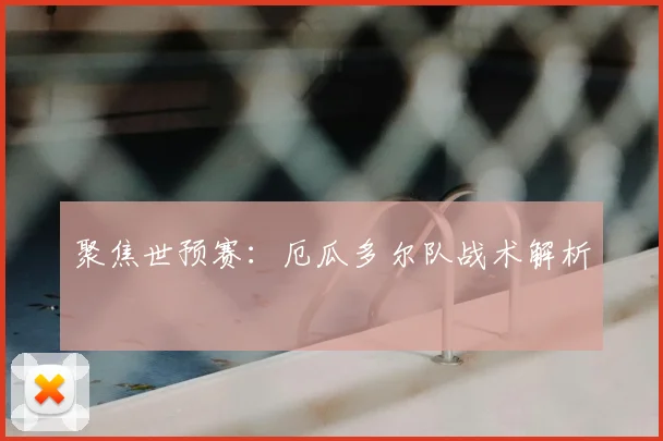 聚焦世预赛：厄瓜多尔队战术解析