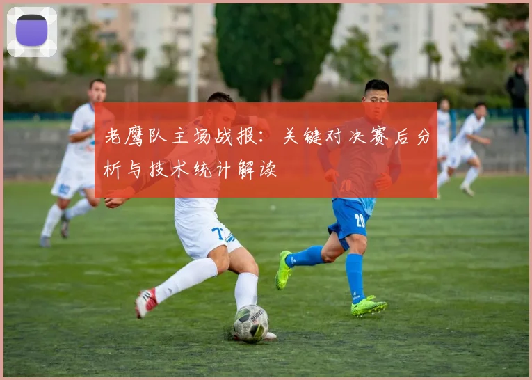 老鹰队主场战报：关键对决赛后分析与技术统计解读