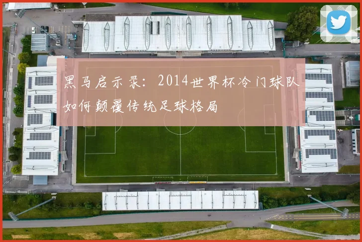黑马启示录：2014世界杯冷门球队如何颠覆传统足球格局